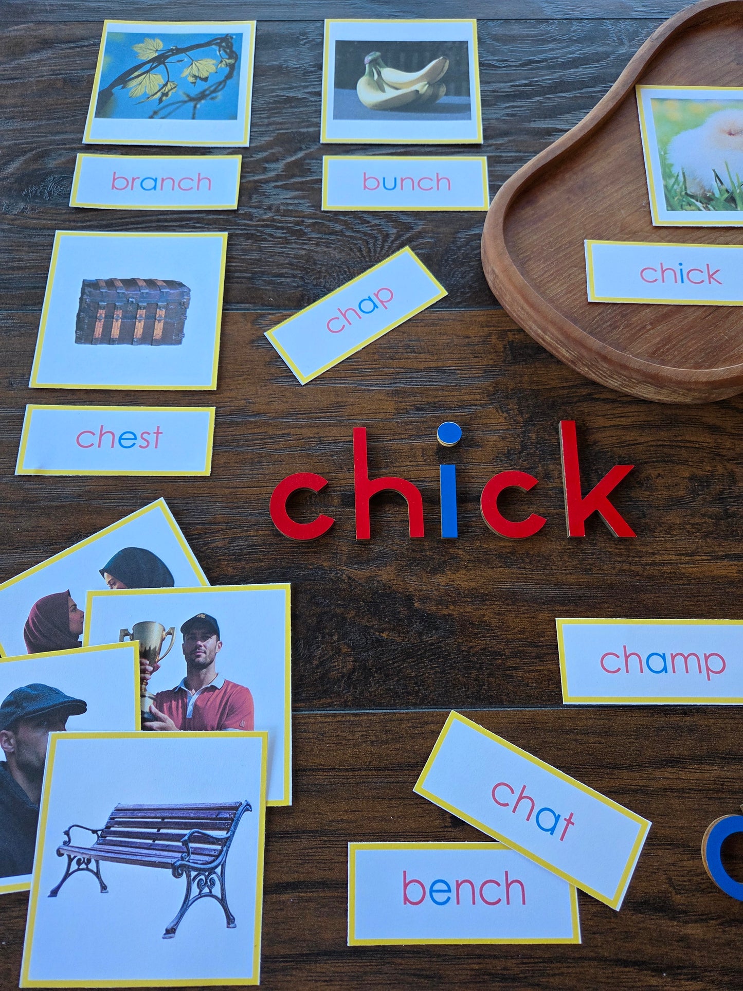Modern Montessori Reading SOR Digraph picture to word match (literacy)