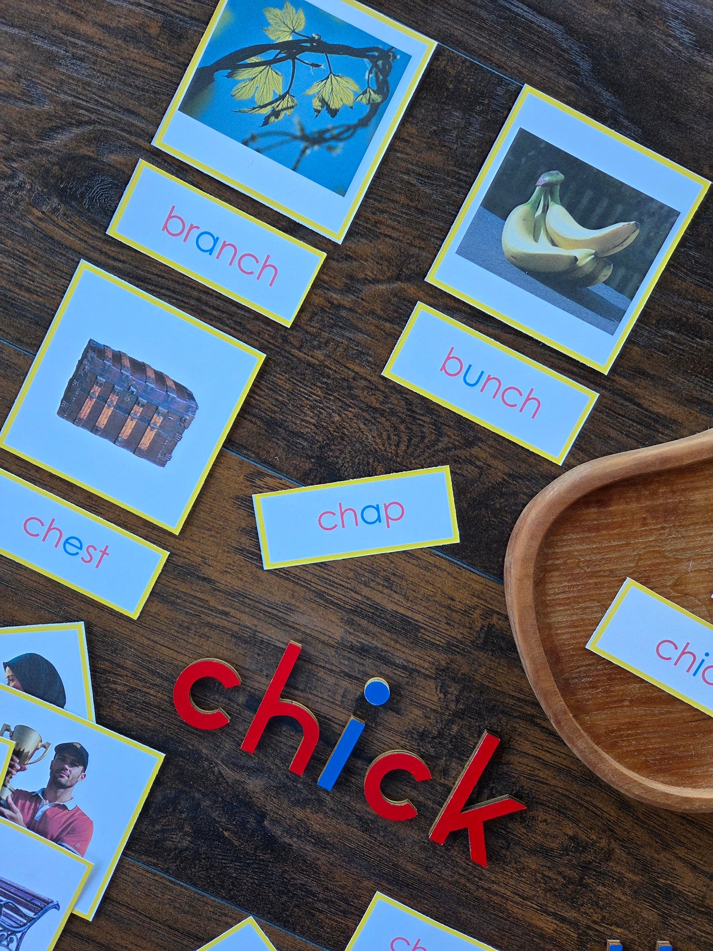 Modern Montessori Reading SOR Digraph picture to word match (literacy)