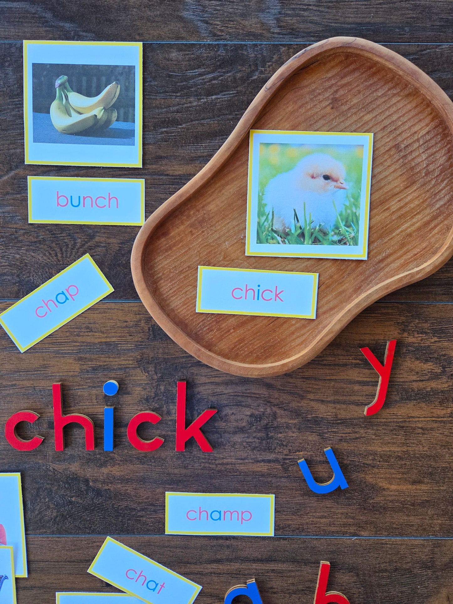Modern Montessori Reading SOR Digraph picture to word match (literacy)