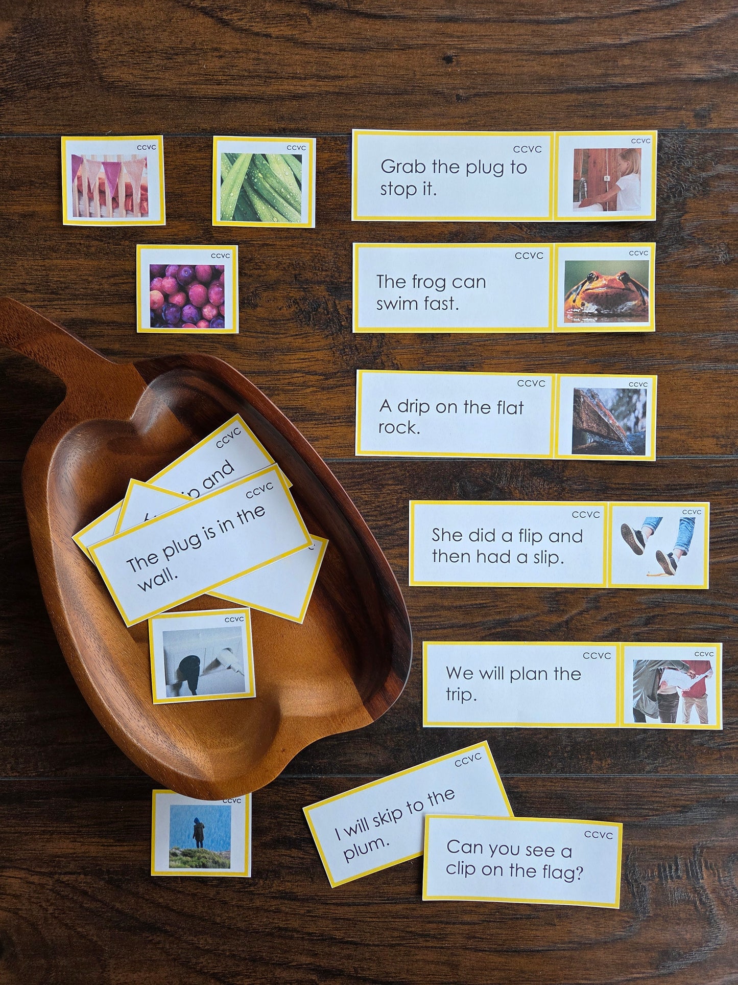 Modern Montessori Reading SOR CCVC Picture to Sentence Match (literacy)
