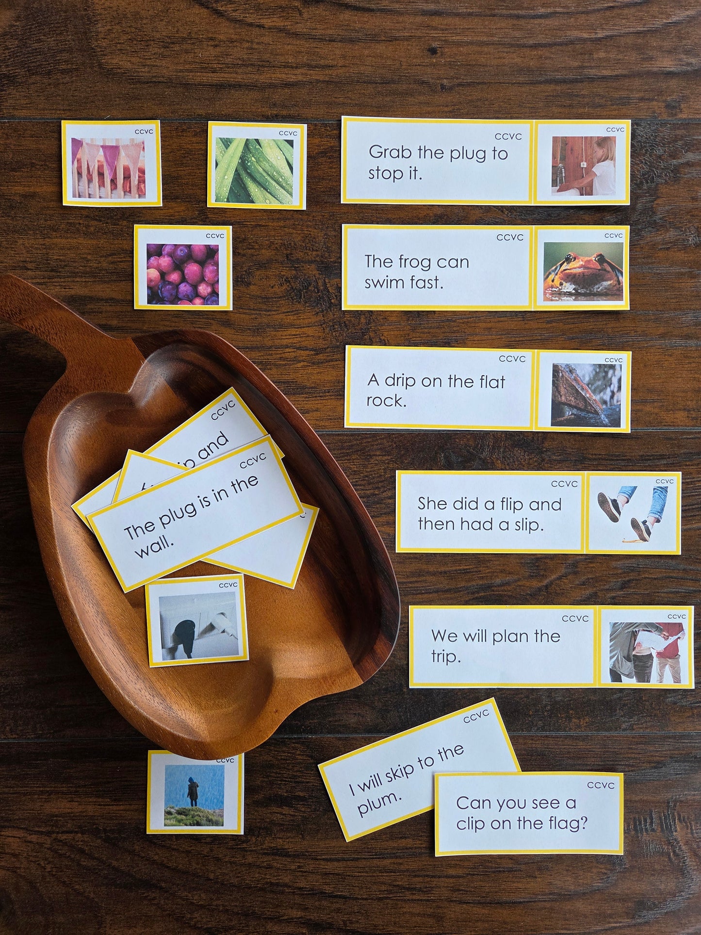 Modern Montessori Reading SOR CCVC Picture to Sentence Match (literacy)