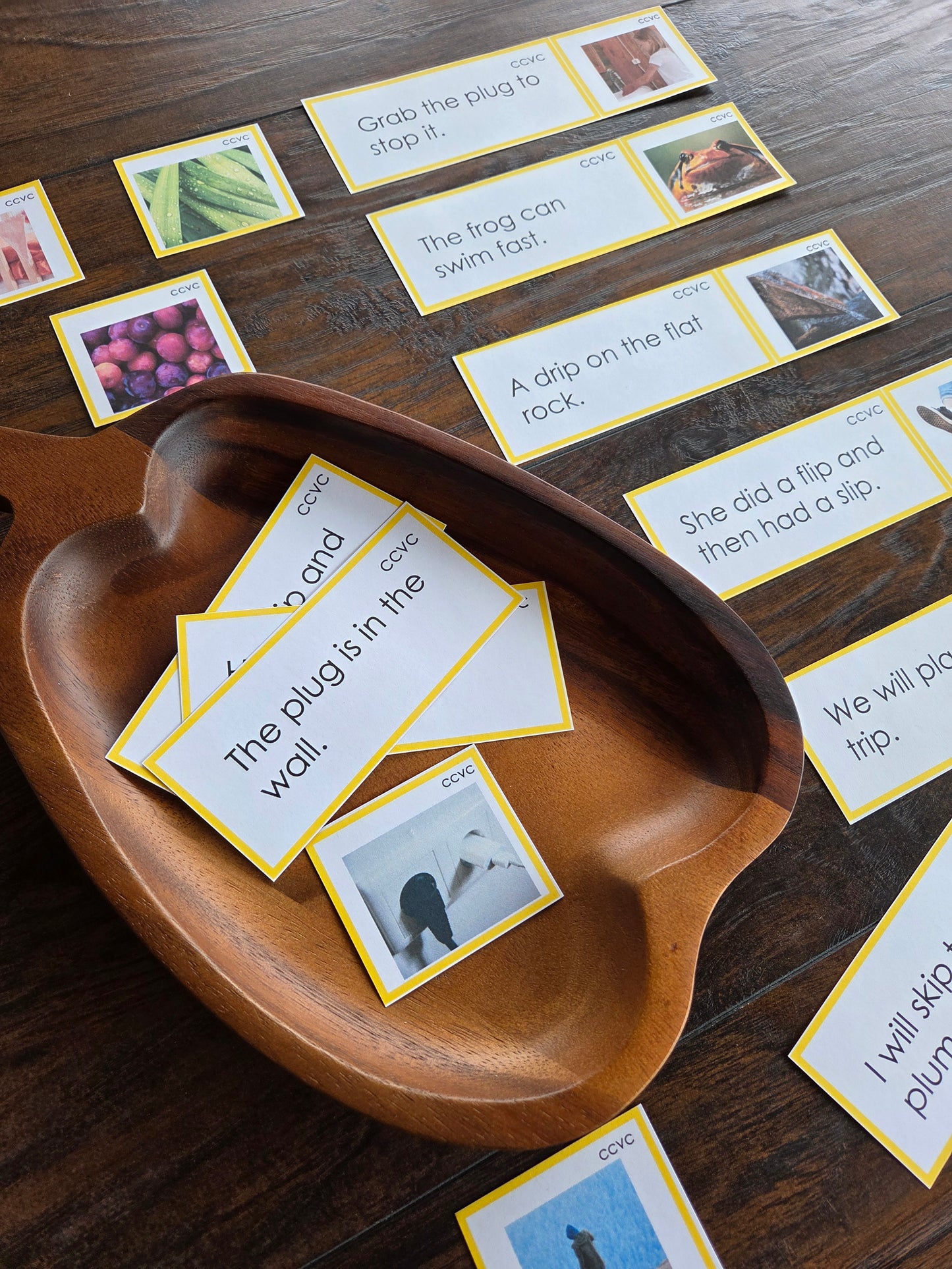 Modern Montessori Reading SOR CCVC Picture to Sentence Match (literacy)