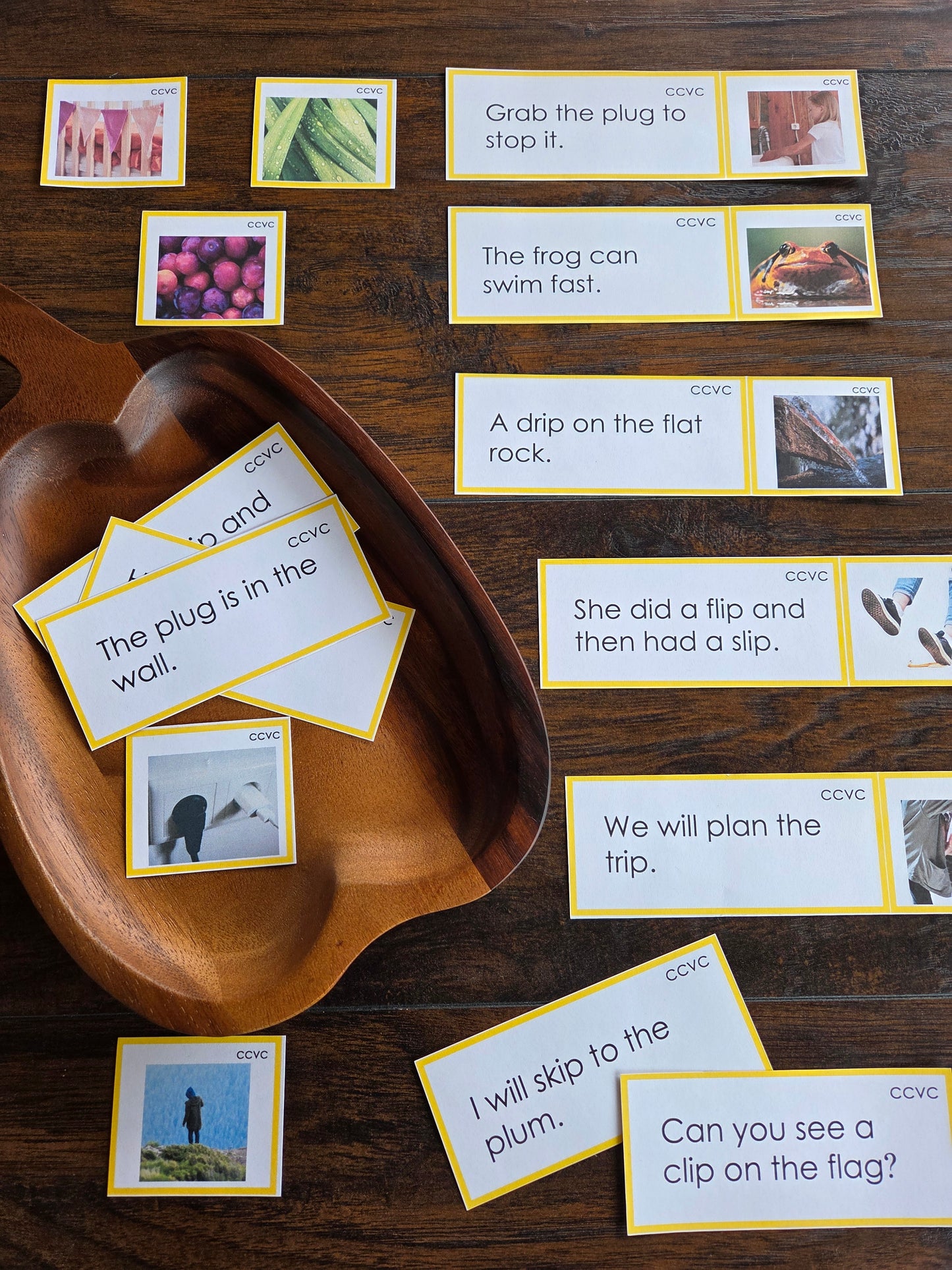 Modern Montessori Reading SOR CCVC Picture to Sentence Match (literacy)