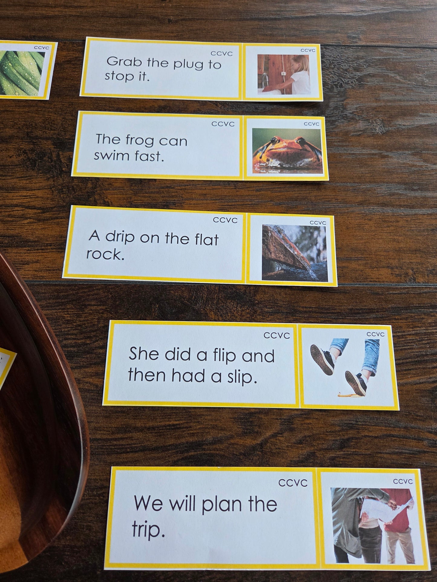 Modern Montessori Reading SOR CCVC Picture to Sentence Match (literacy)