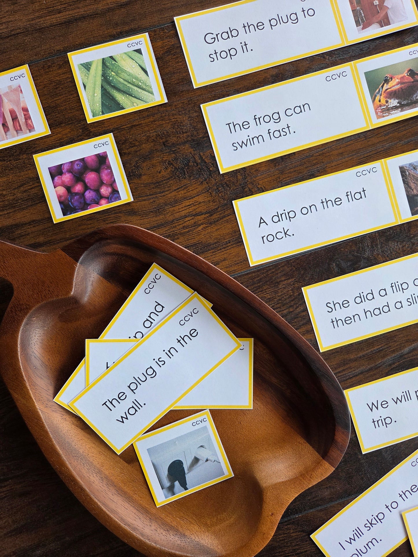 Modern Montessori Reading SOR CCVC Picture to Sentence Match (literacy)