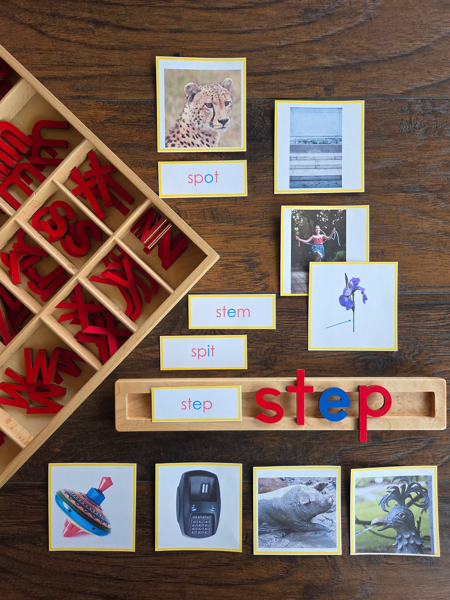 Modern Montessori Reading: CCVC Word to Picture Match (literacy)