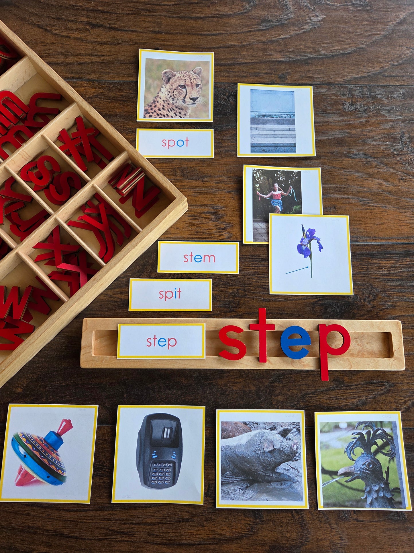 Modern Montessori Reading: CCVC Word to Picture Match (literacy)