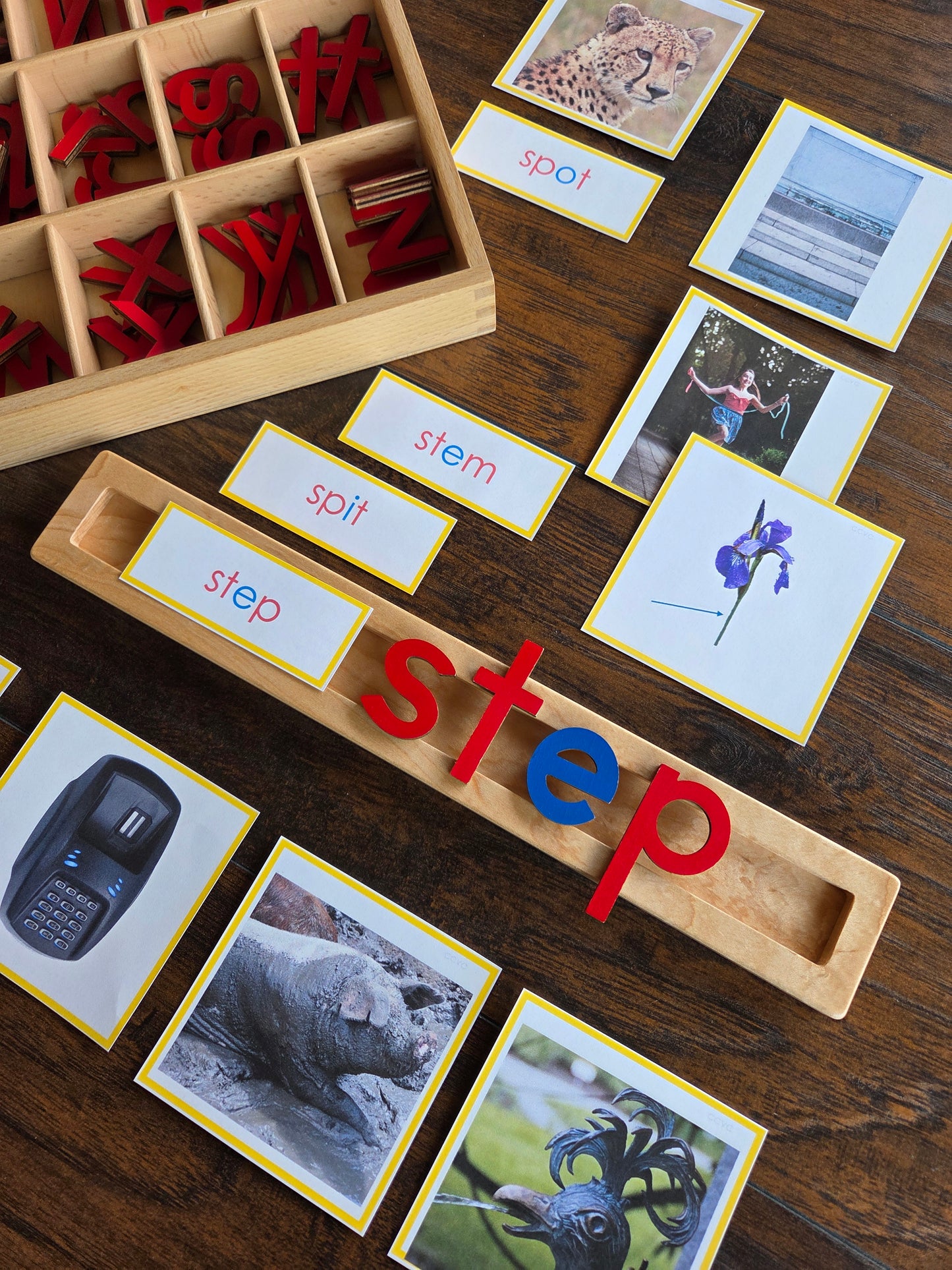 Modern Montessori Reading: CCVC Word to Picture Match (literacy)