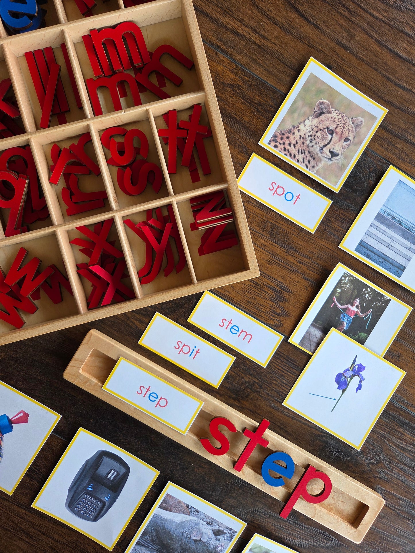 Modern Montessori Reading: CCVC Word to Picture Match (literacy)