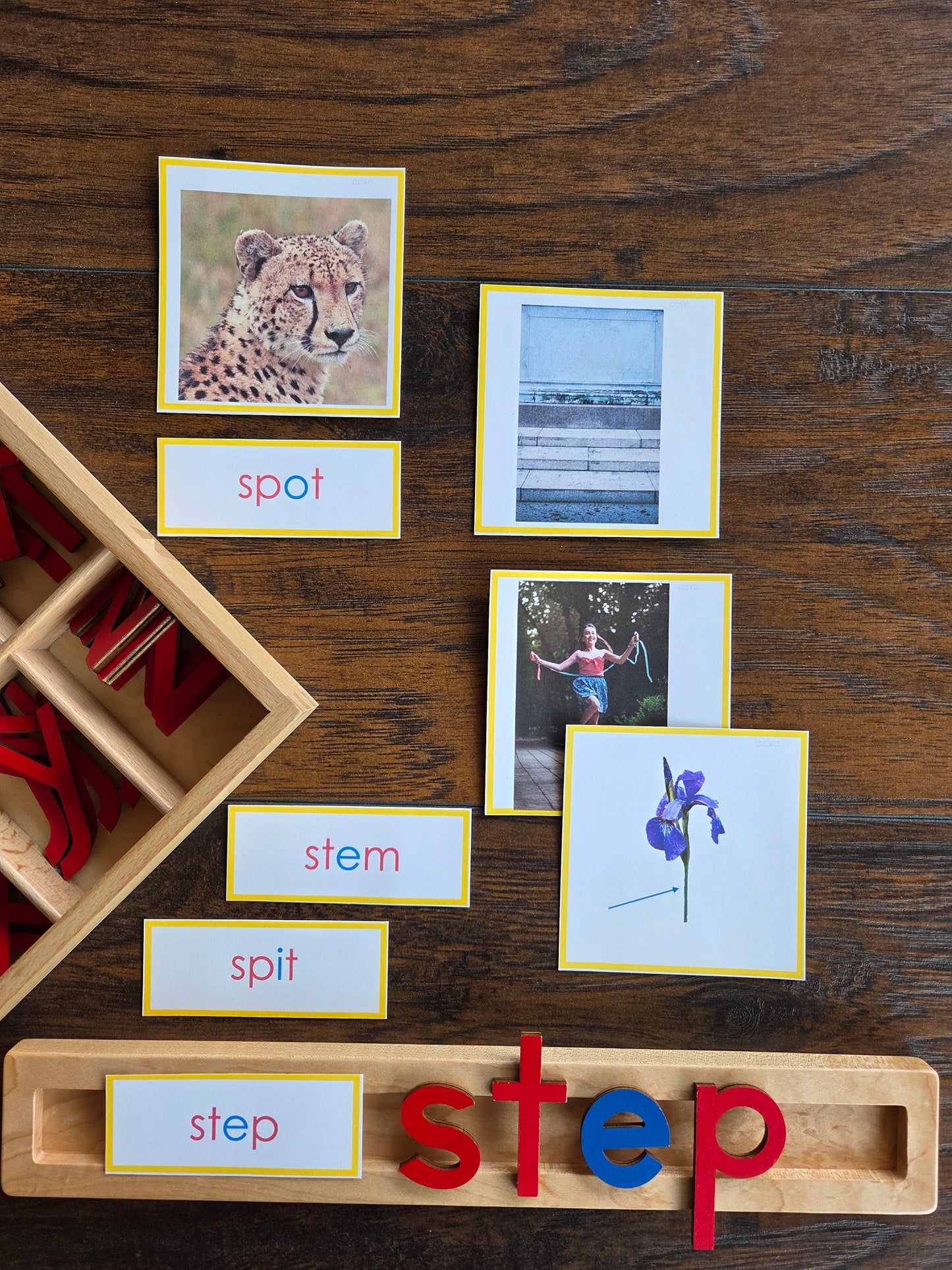 Modern Montessori Reading: CCVC Word to Picture Match (literacy)