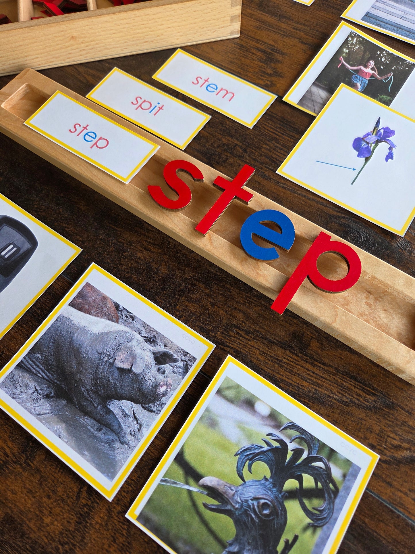 Modern Montessori Reading: CCVC Word to Picture Match (literacy)