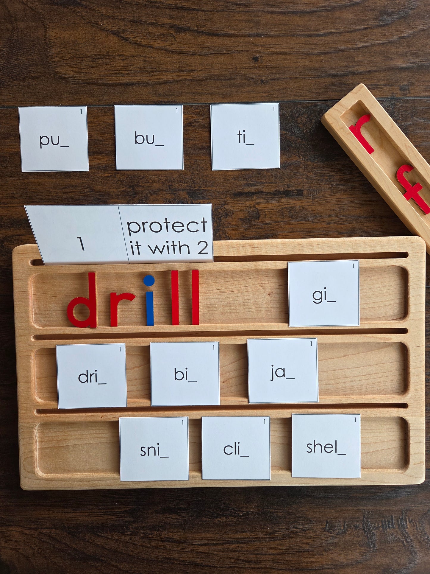 Modern Montessori Reading SOR FLOSZ Sorting Activity (literacy)