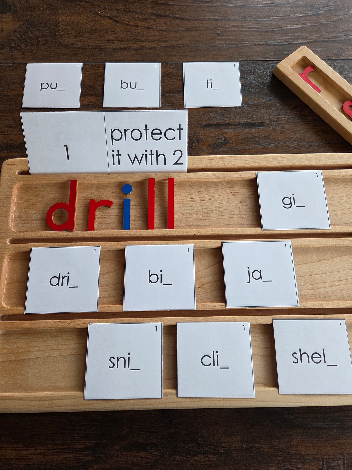 Modern Montessori Reading SOR FLOSZ Sorting Activity (literacy)
