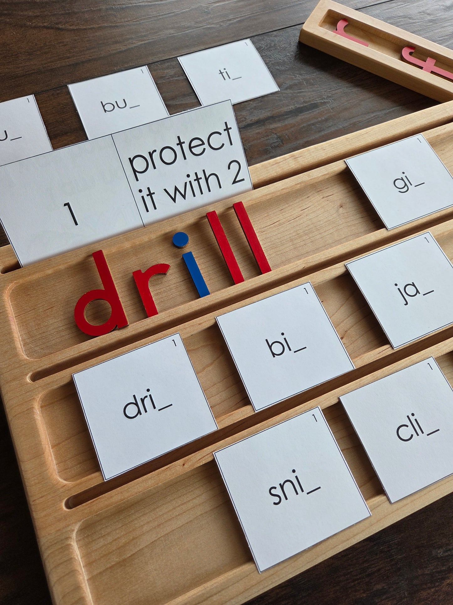 Modern Montessori Reading SOR FLOSZ Sorting Activity (literacy)