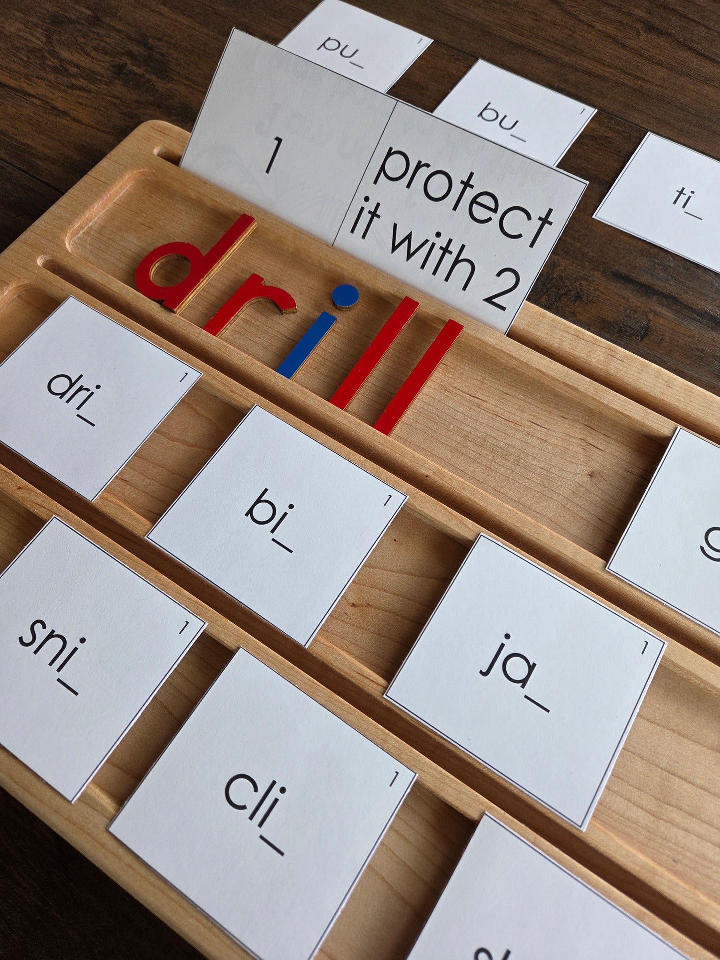 Modern Montessori Reading SOR FLOSZ Sorting Activity (literacy)