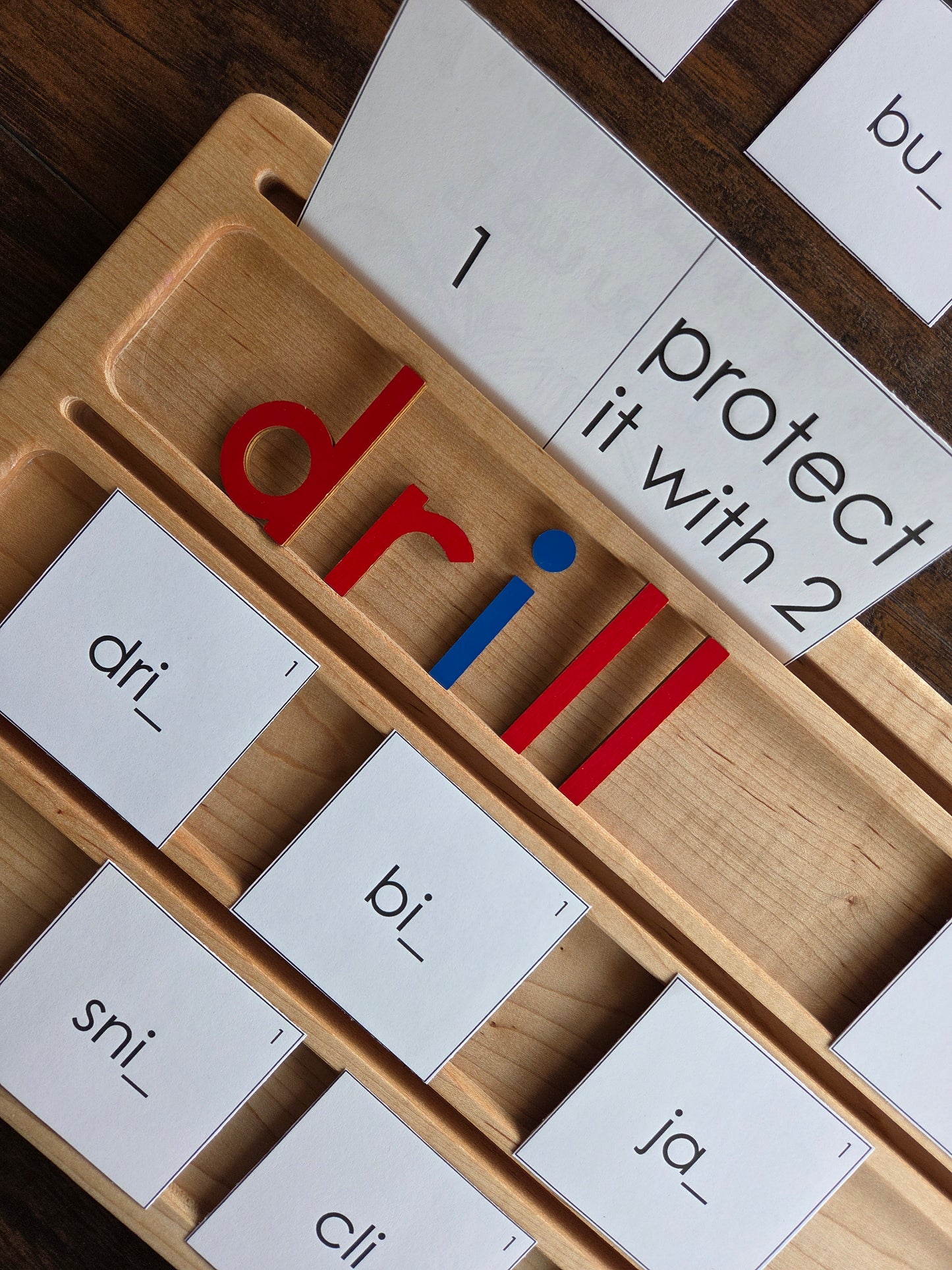 Modern Montessori Reading SOR FLOSZ Sorting Activity (literacy)