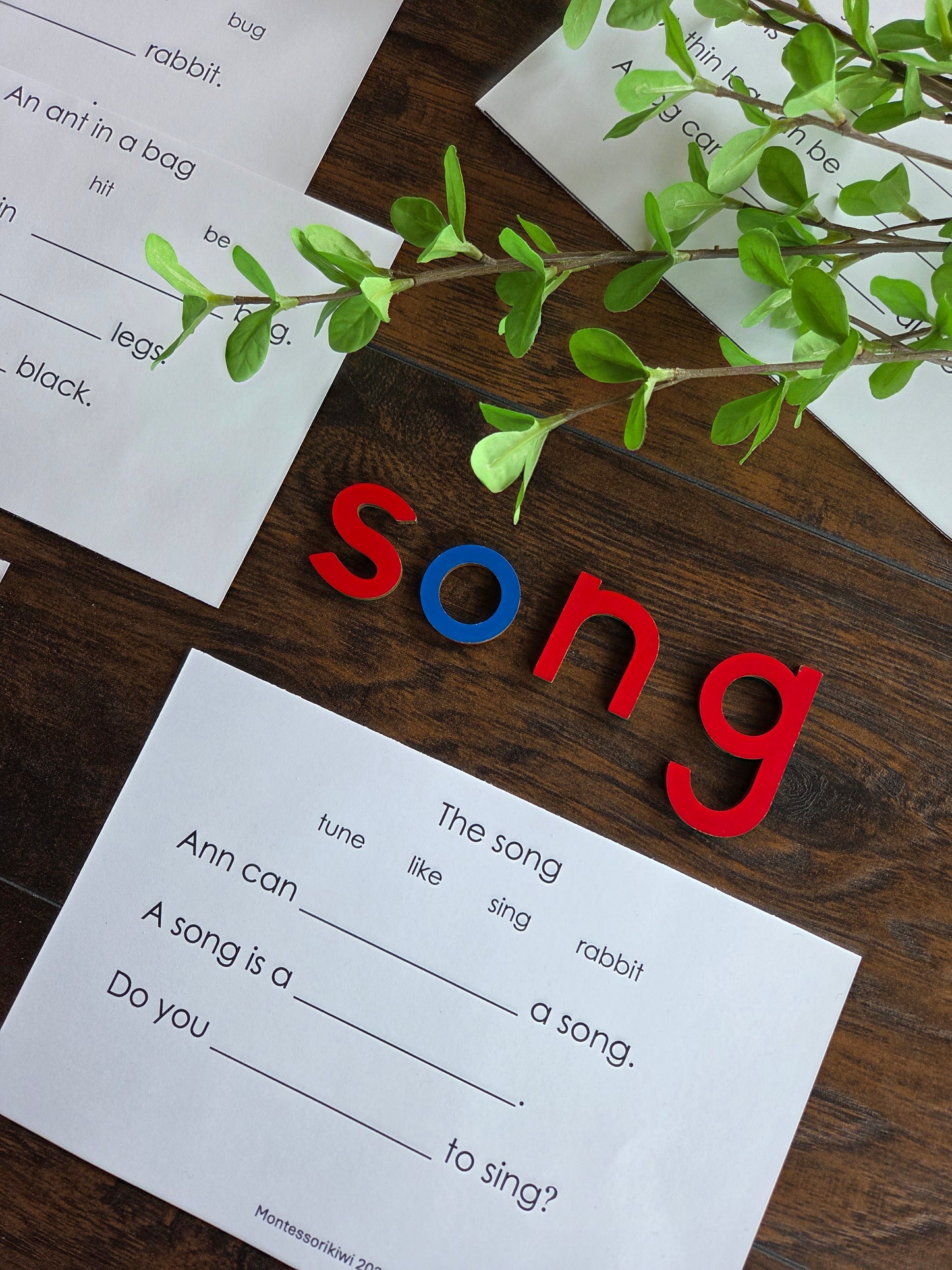 Modern Montessori Reading SOR simple reading comprehension fill in gaps (literacy)