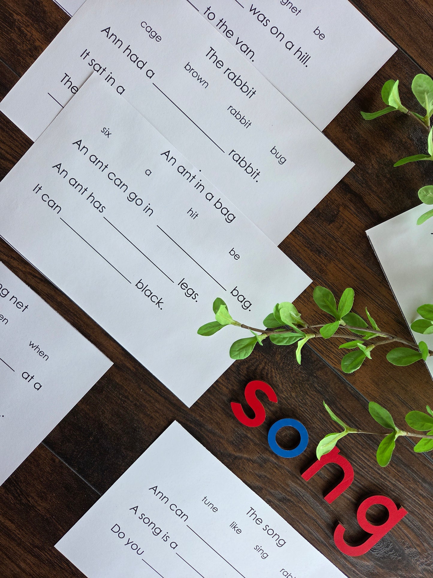 Modern Montessori Reading SOR simple reading comprehension fill in gaps (literacy)