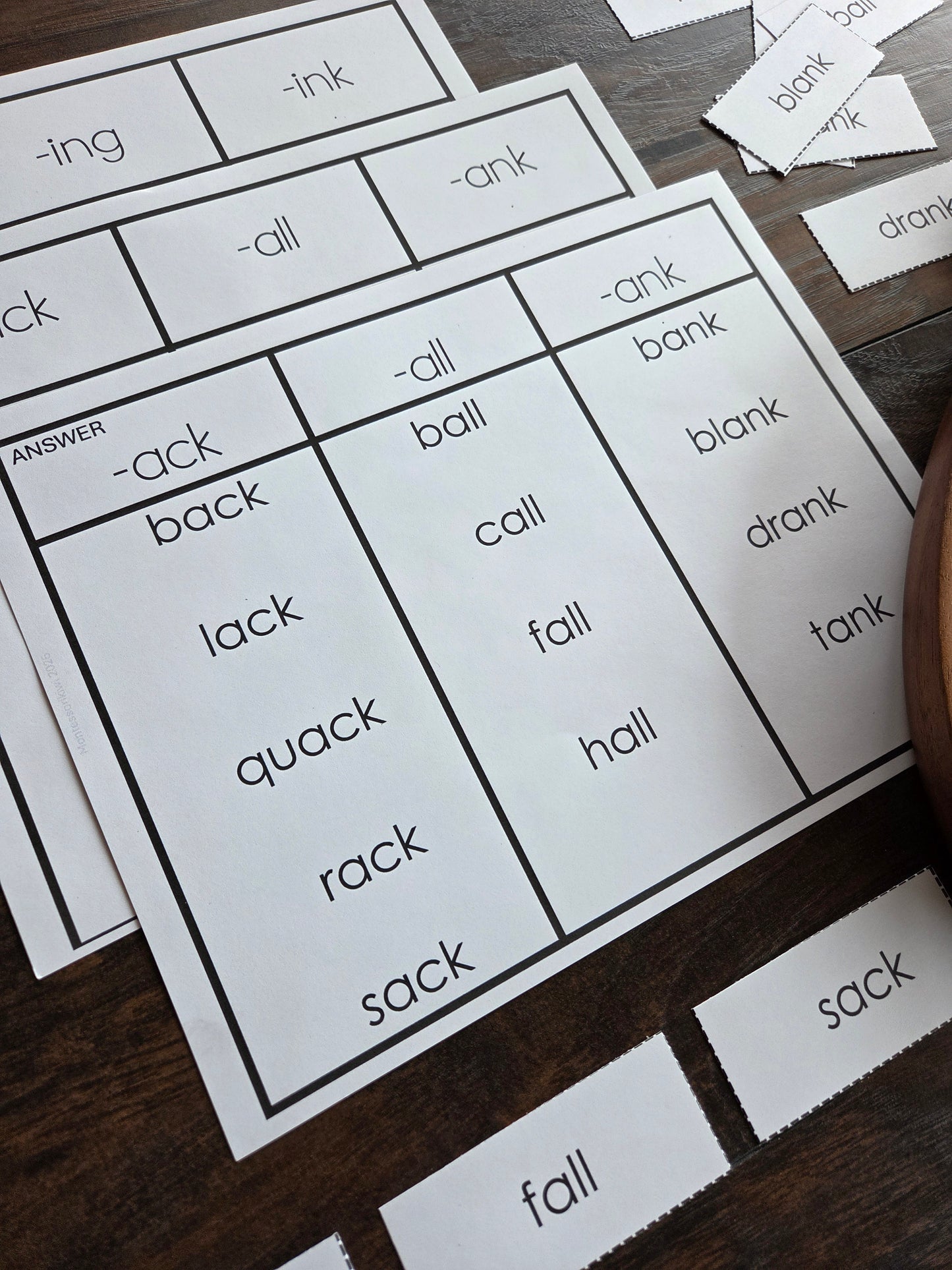Word Family Sorting Cards | Montessori Science of Reading Phonics Activity