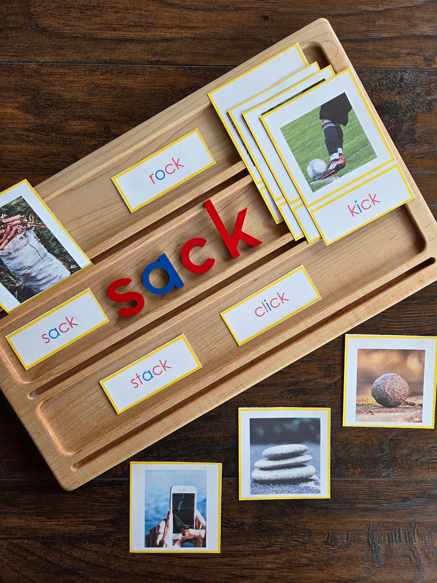 Modern Montessori Reading SOR Word Family Sorting (literacy)