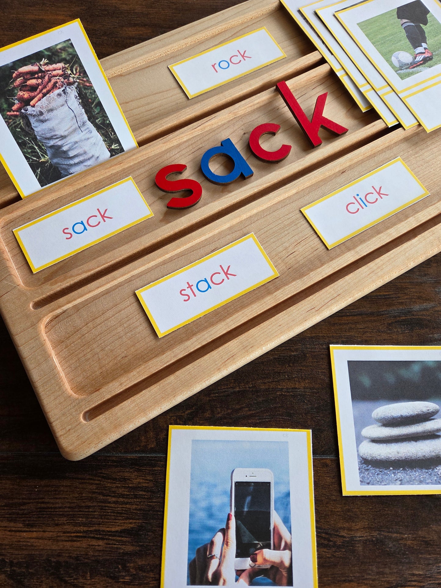 Modern Montessori Reading SOR Word Family Sorting (literacy)