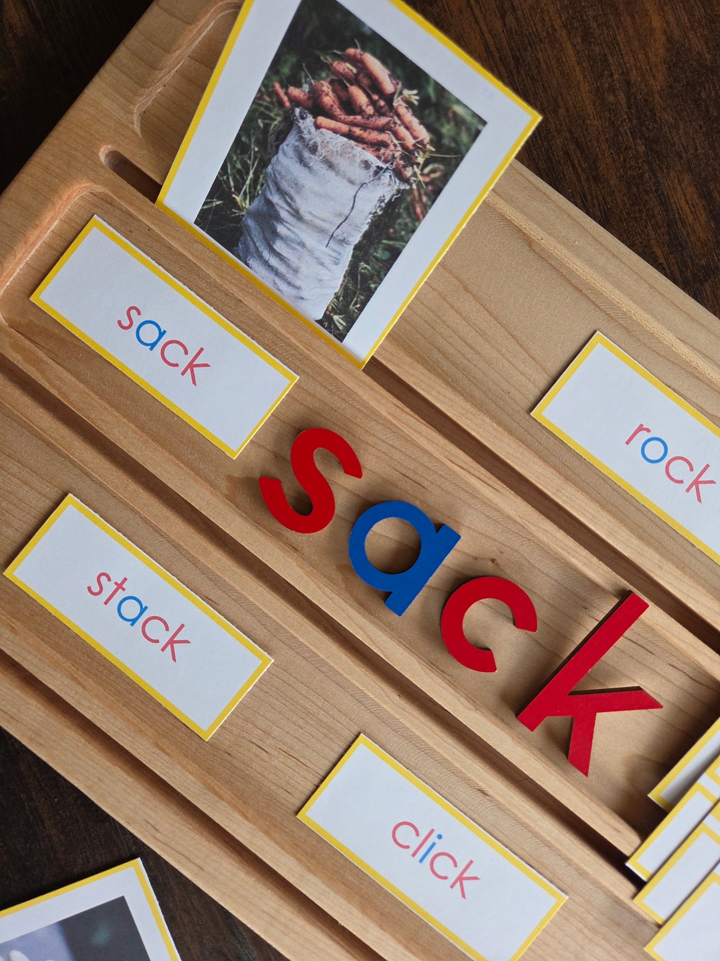 Modern Montessori Reading SOR Word Family Sorting (literacy)