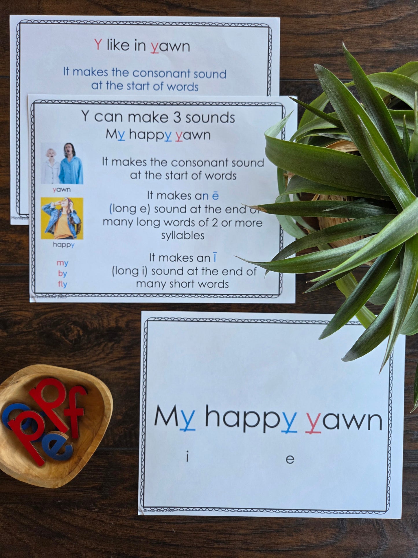 Modern Montessori Reading SOR Y makes 3 sounds posters (literacy)