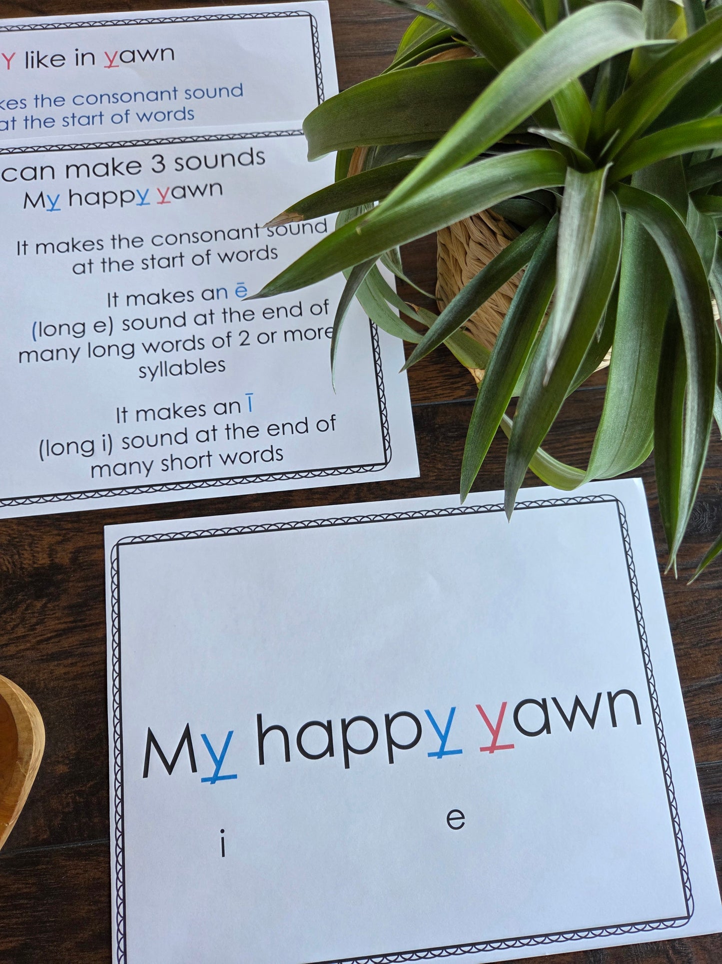 Modern Montessori Reading SOR Y makes 3 sounds posters (literacy)