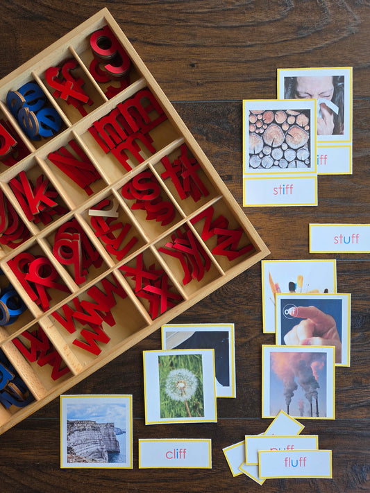 Modern Montessori Reading SOR FLOSZ picture to word match (literacy)