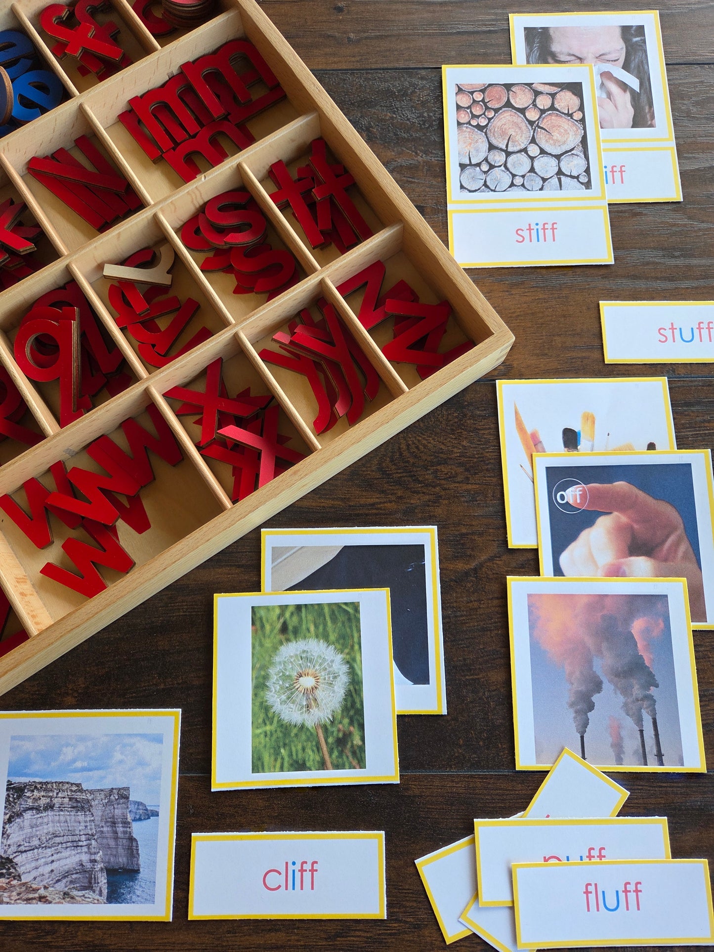 Modern Montessori Reading SOR FLOSZ picture to word match (literacy)