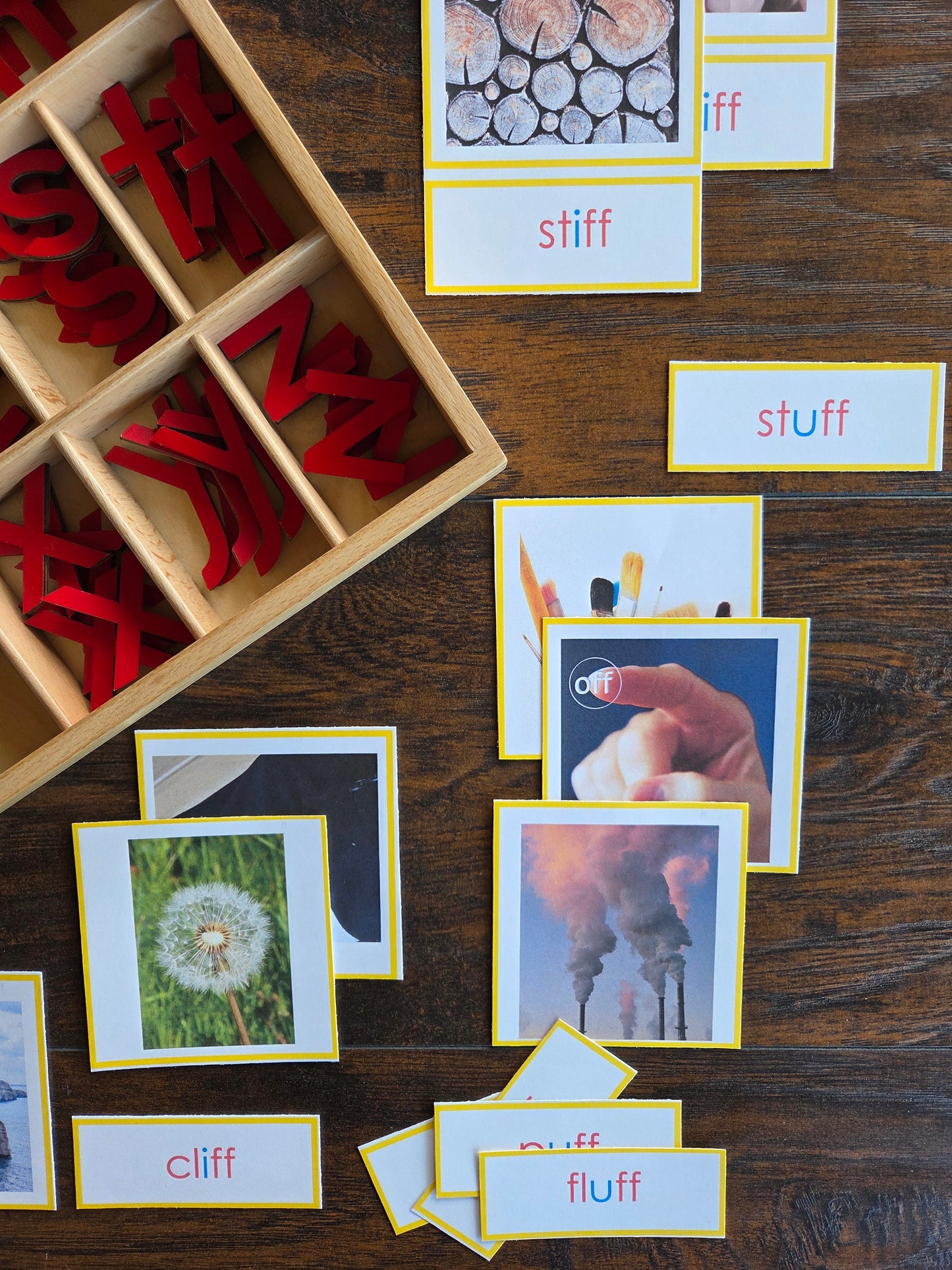 Modern Montessori Reading SOR FLOSZ picture to word match (literacy)