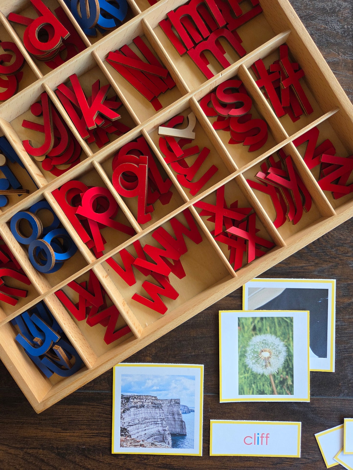Modern Montessori Reading SOR FLOSZ picture to word match (literacy)