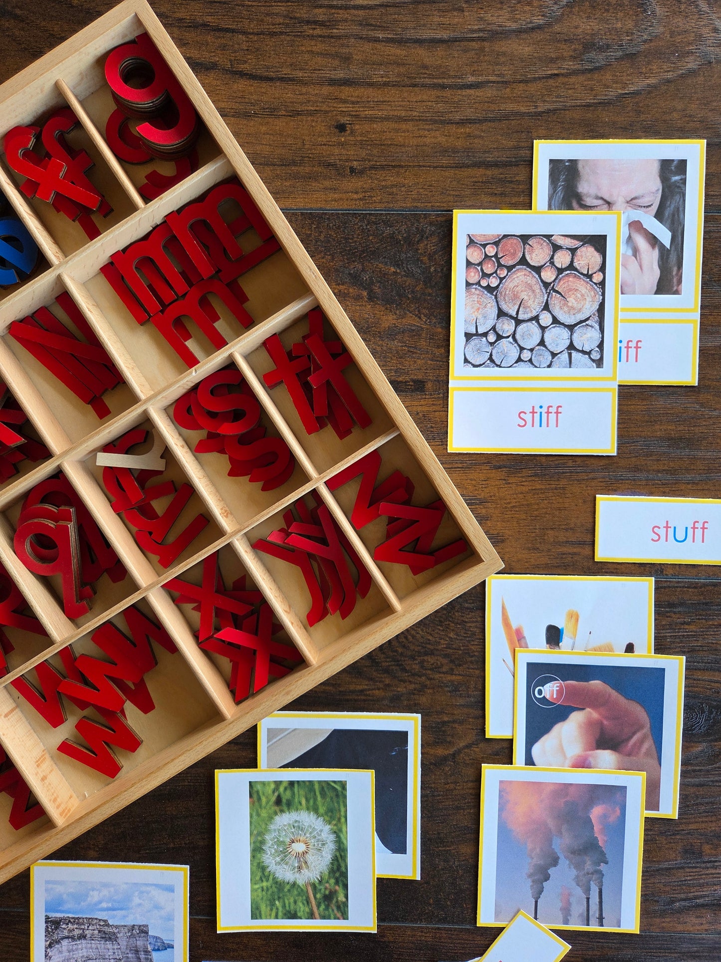 Modern Montessori Reading SOR FLOSZ picture to word match (literacy)