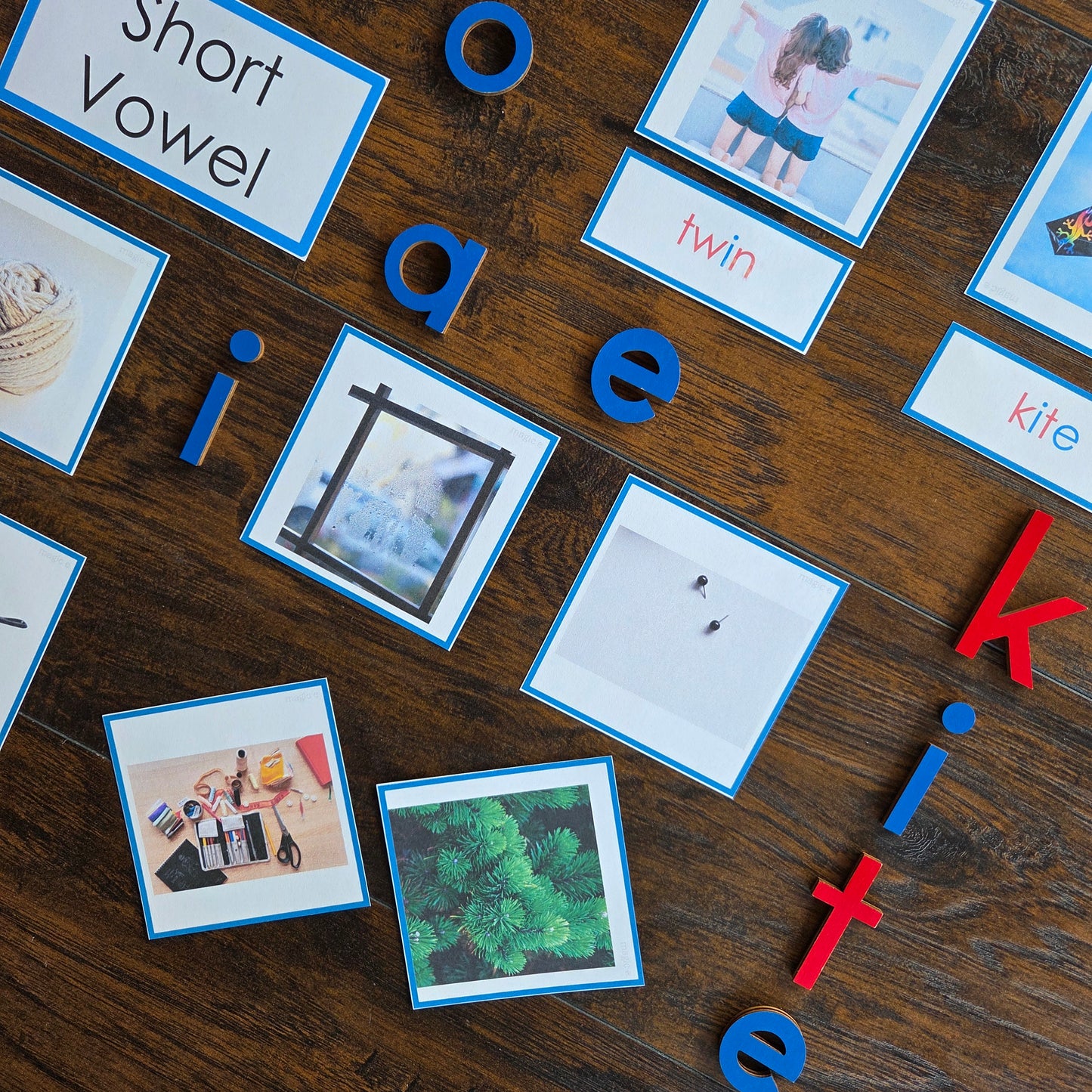 Modern Montessori Reading SOR Silent E Picture to Word Match (literacy)