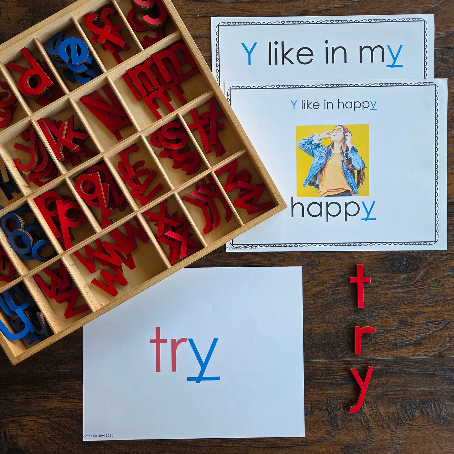 Modern Montessori Reading SOR Y makes 3 sounds activities (literacy)