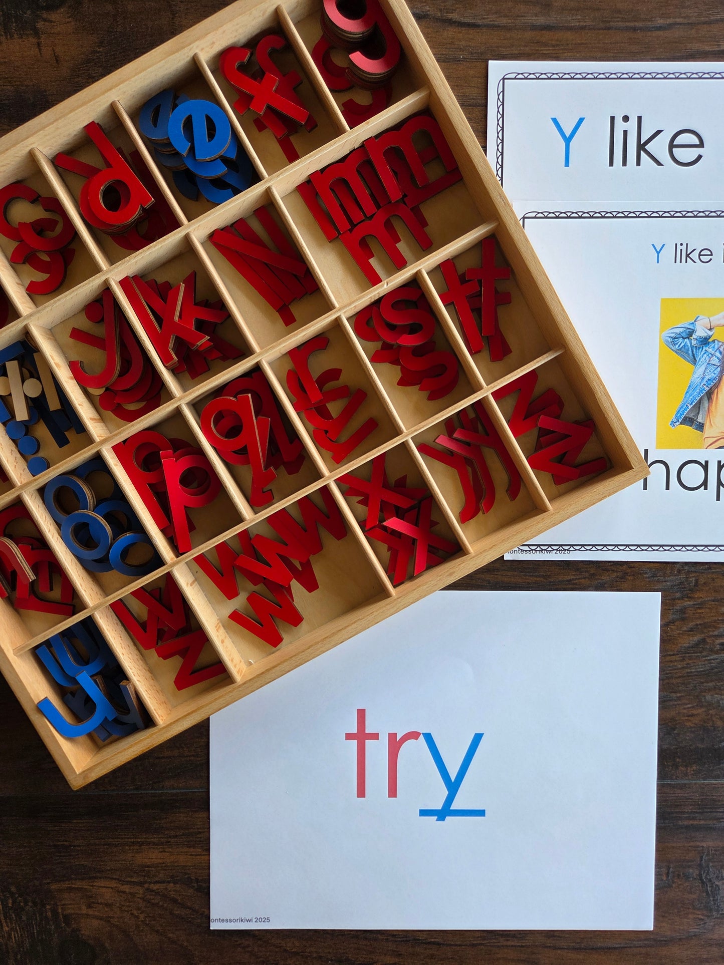 Modern Montessori Reading SOR Y makes 3 sounds activities (literacy)