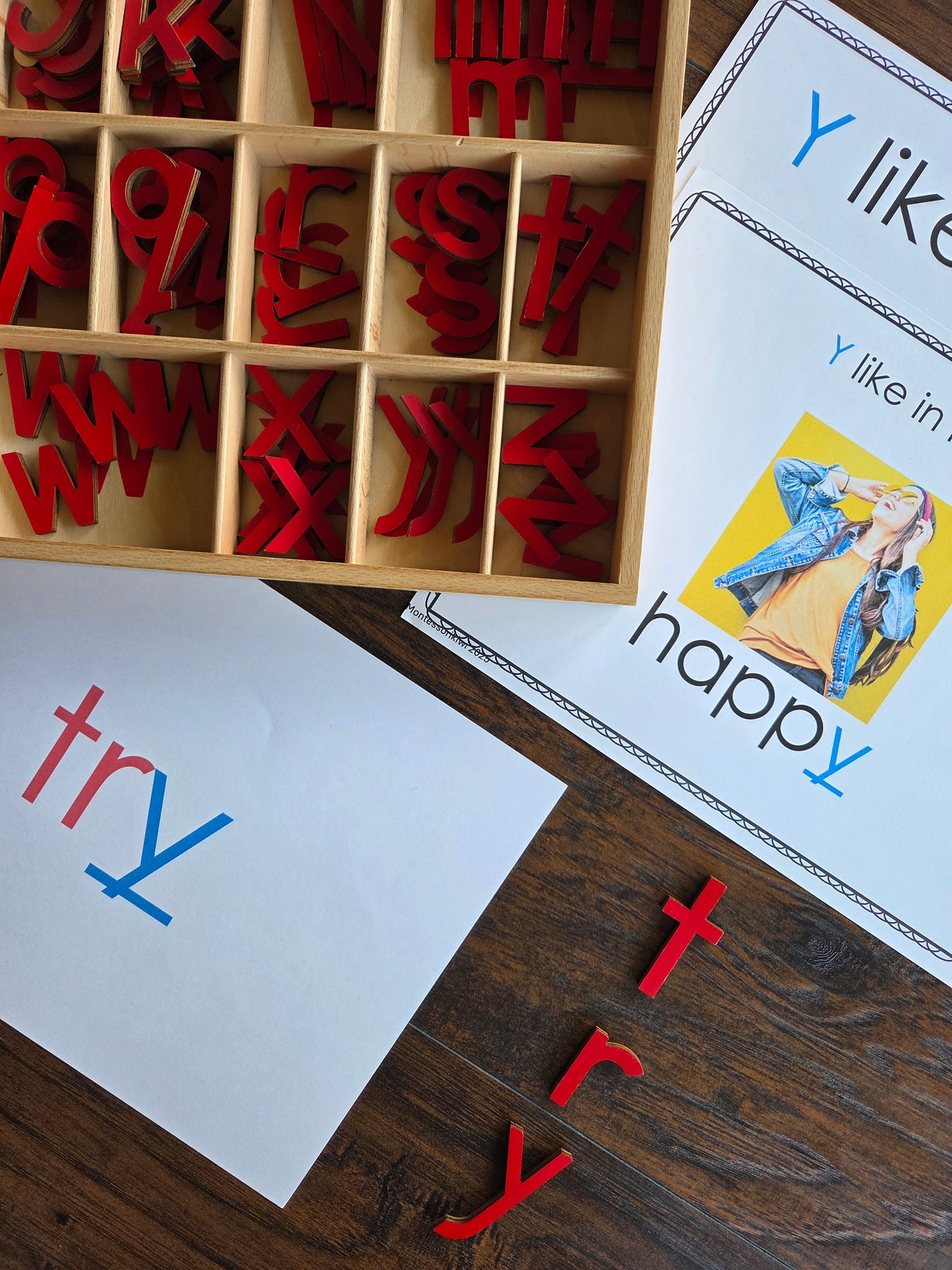 Modern Montessori Reading SOR Y makes 3 sounds activities (literacy)