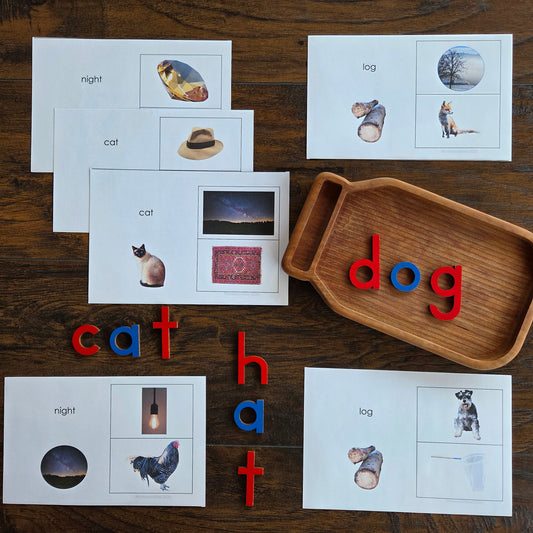 Modern Montessori Reading - Rhyming clip and flip cards (literacy)