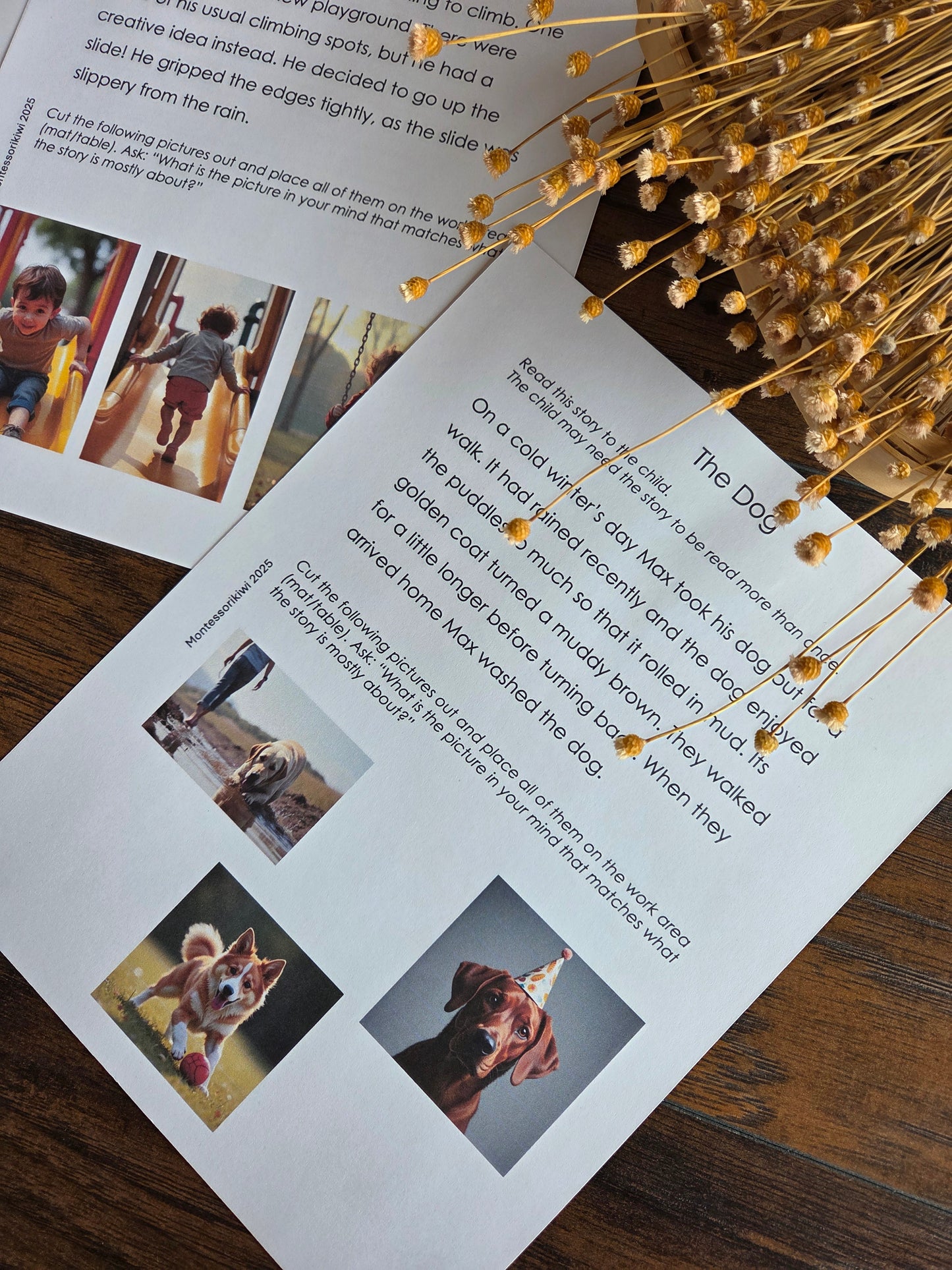 Modern Montessori Reading: Picturing Stories (literacy)