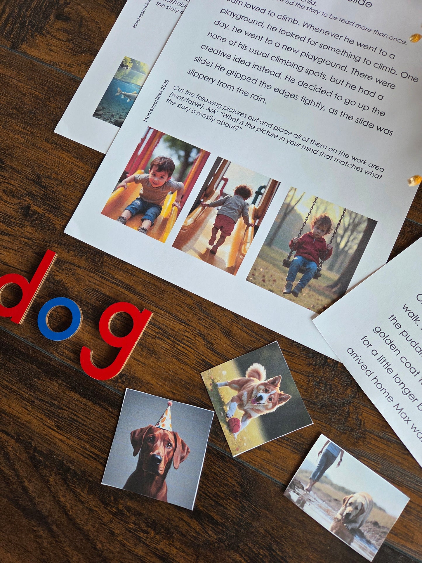 Modern Montessori Reading: Picturing Stories (literacy)