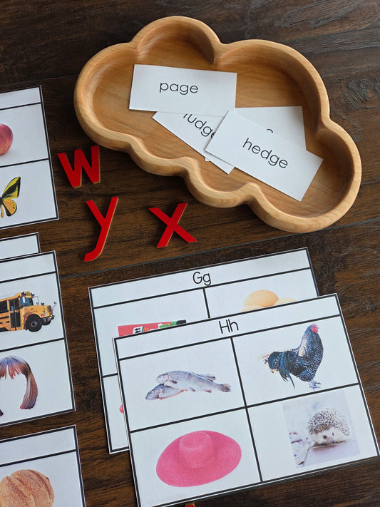 Modern Montessori Reading: Odd One Out initial sound isolation (literacy)