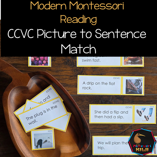 Modern Montessori Reading SOR CCVC Picture to Sentence Match (literacy)