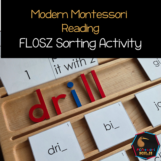Modern Montessori Reading SOR FLOSZ Sorting Activity (literacy)
