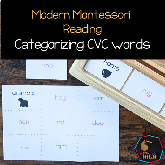 Modern Montessori Reading SOR CVC categorizing words (literacy)