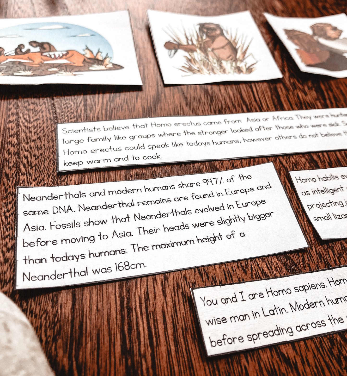 Timeline of early Hominins (cosmic) - montessorikiwi