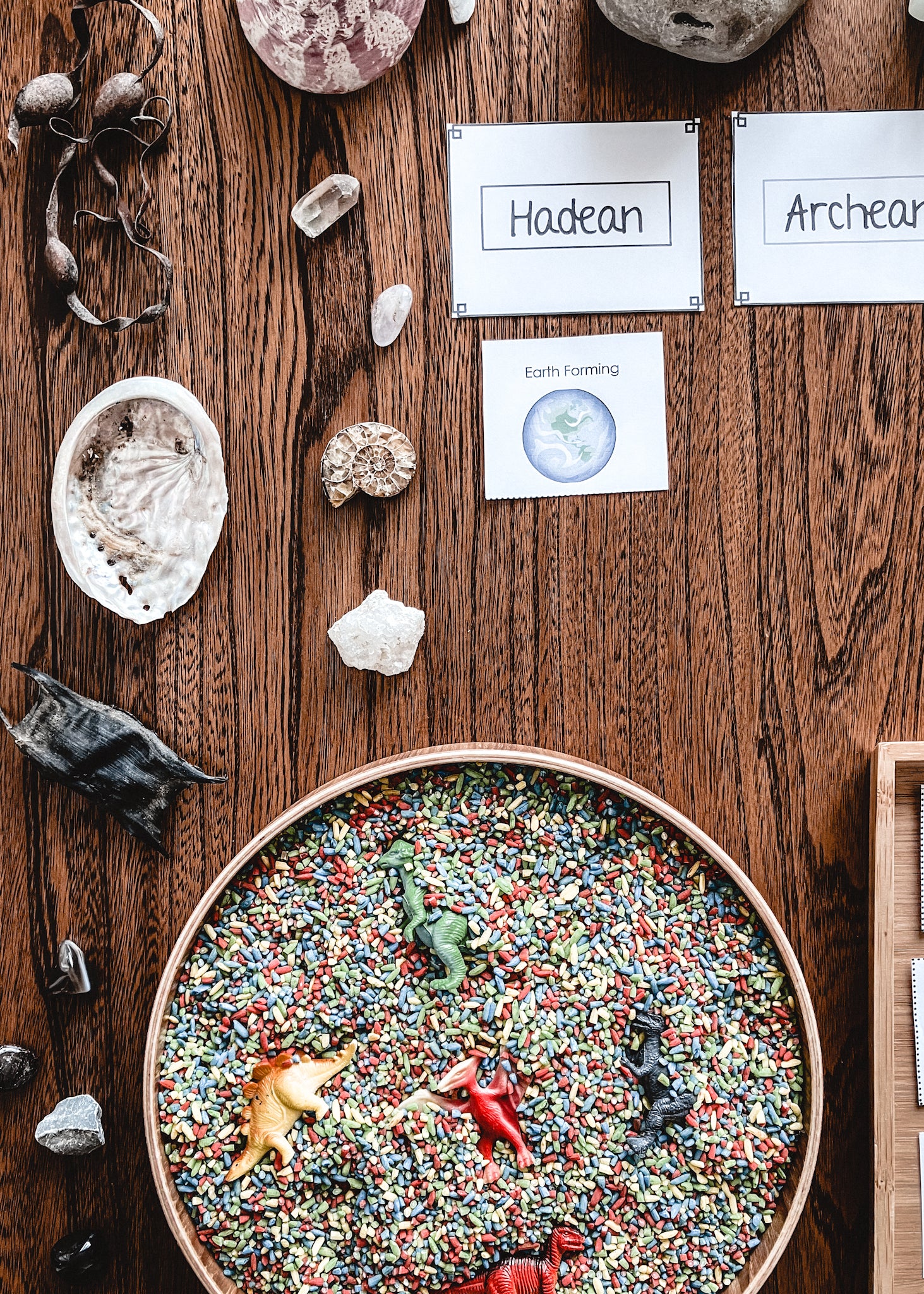 Clock of Eras features of each geological period picture edition (cosmic) - montessorikiwi