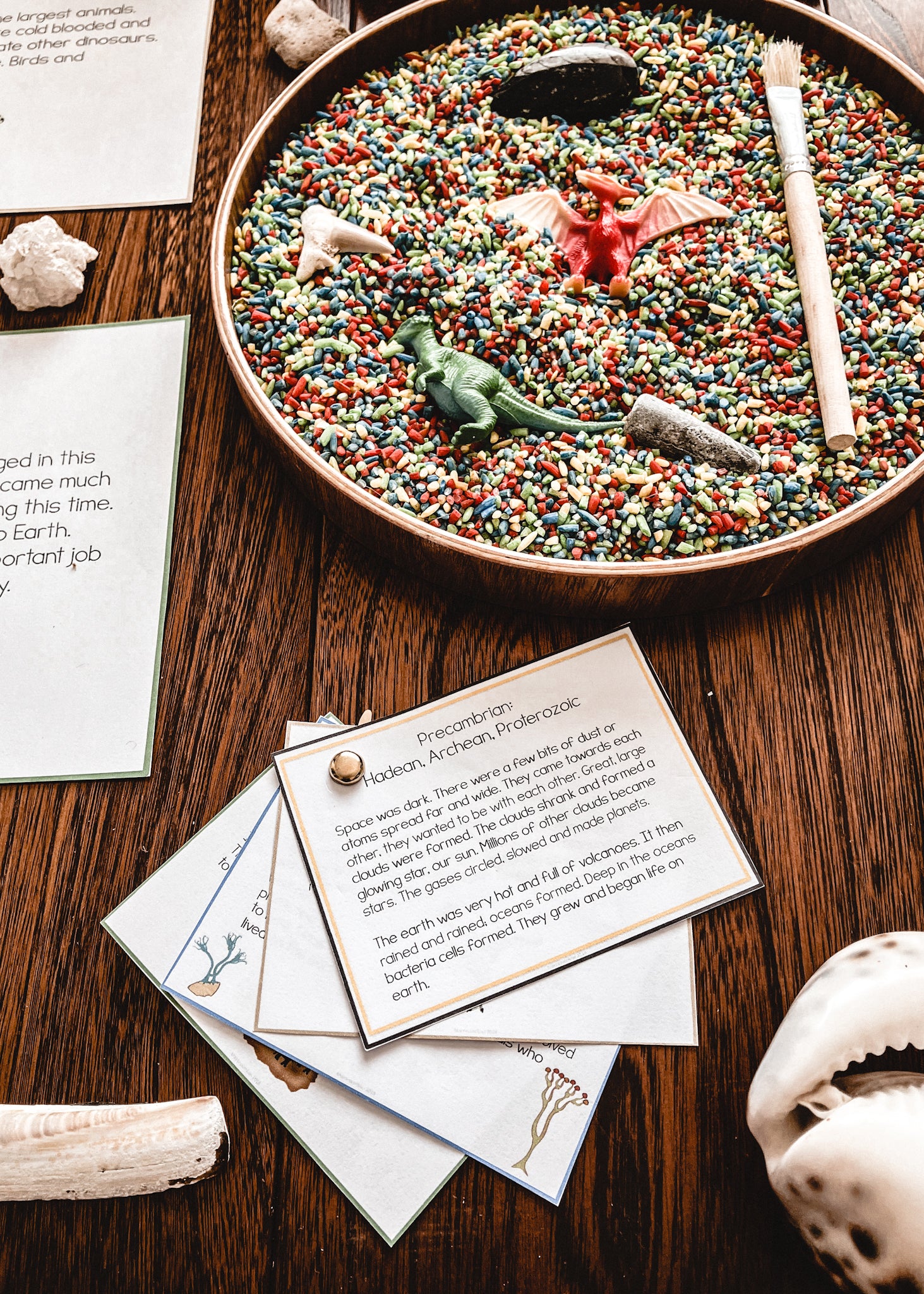 Clock of Eras paragraphs and cloze work (cosmic) - montessorikiwi