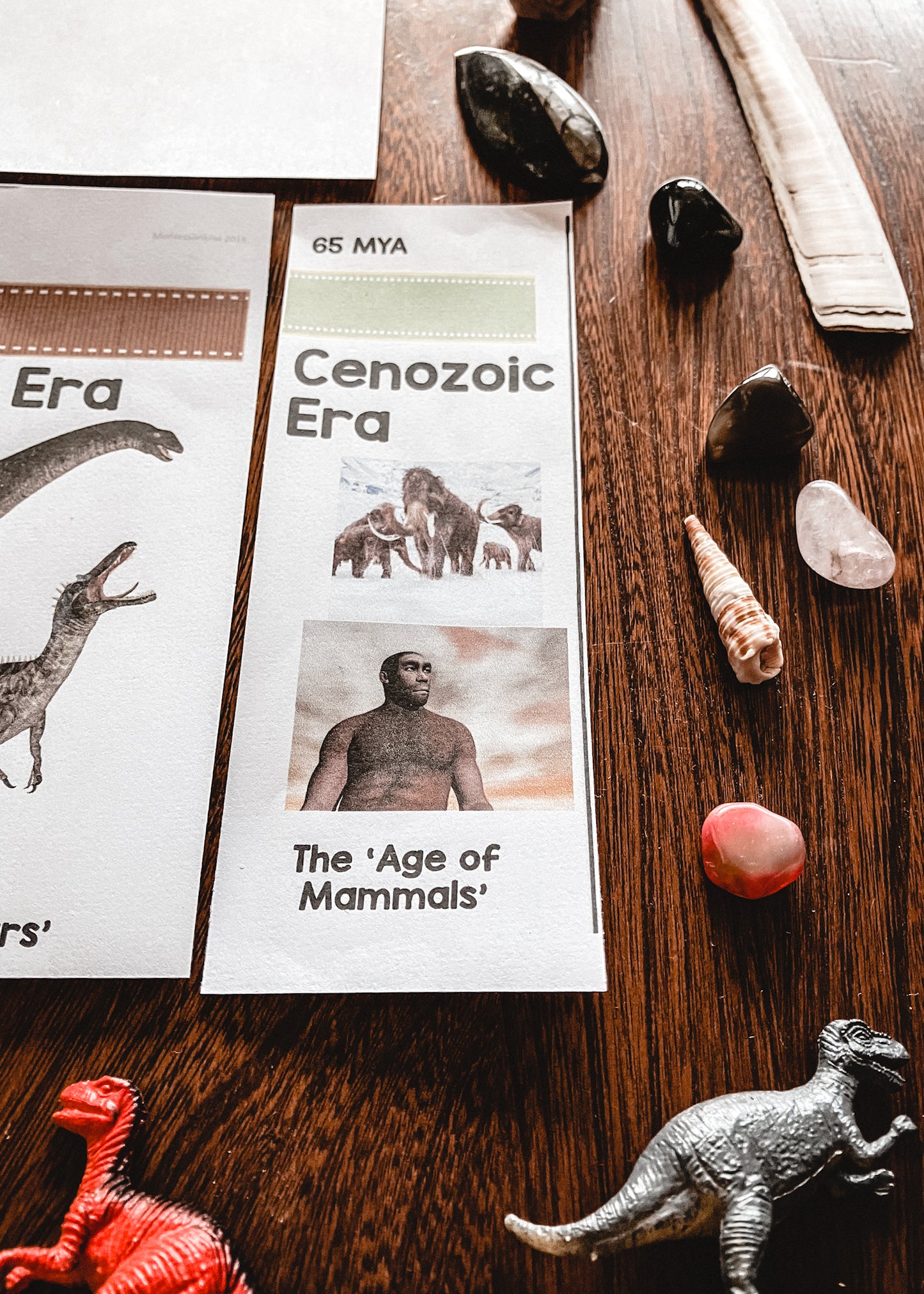 Montessori Clock of Eras timeline of life (cosmic) - montessorikiwi