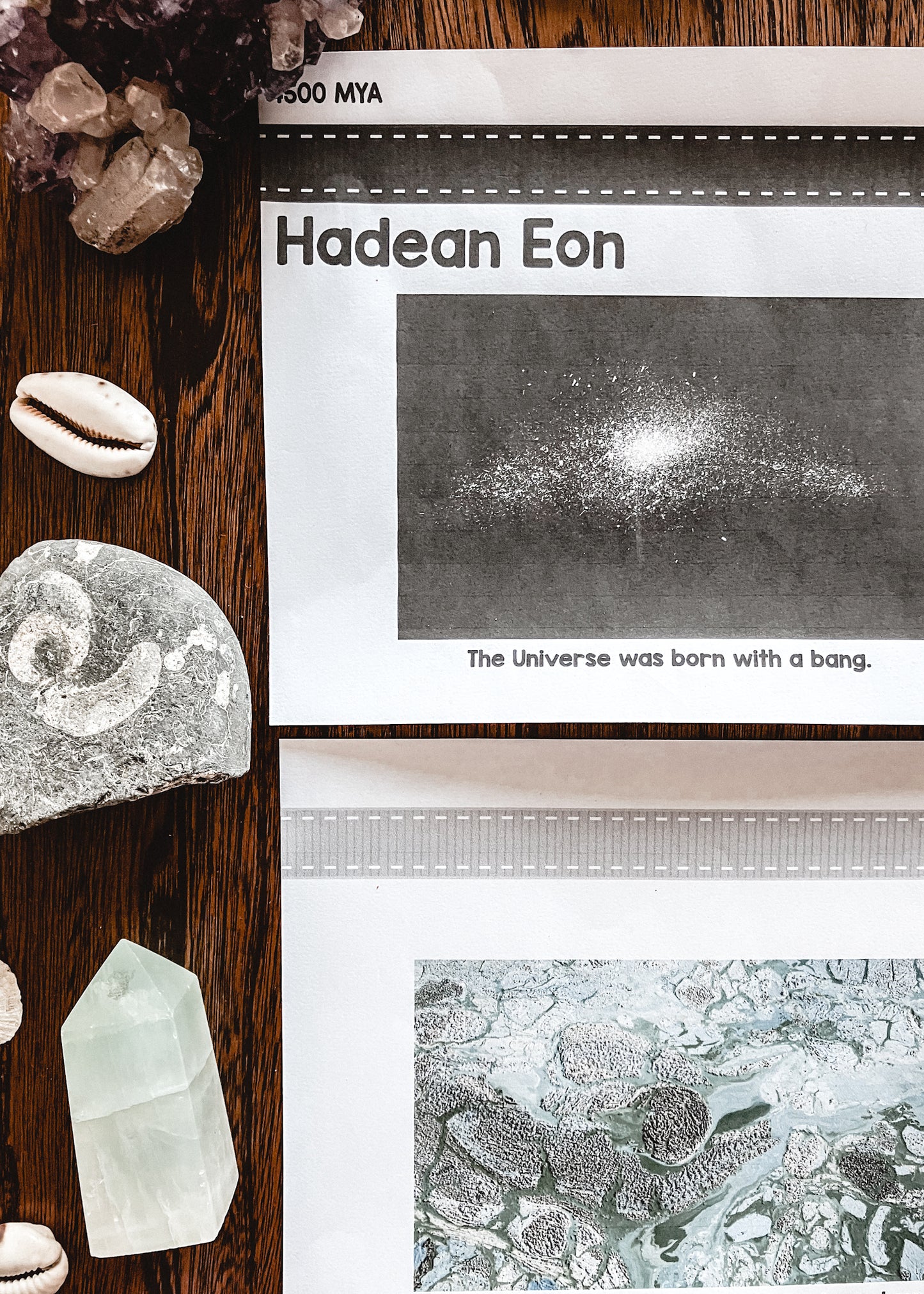 Montessori Clock of Eras timeline of life (cosmic) - montessorikiwi