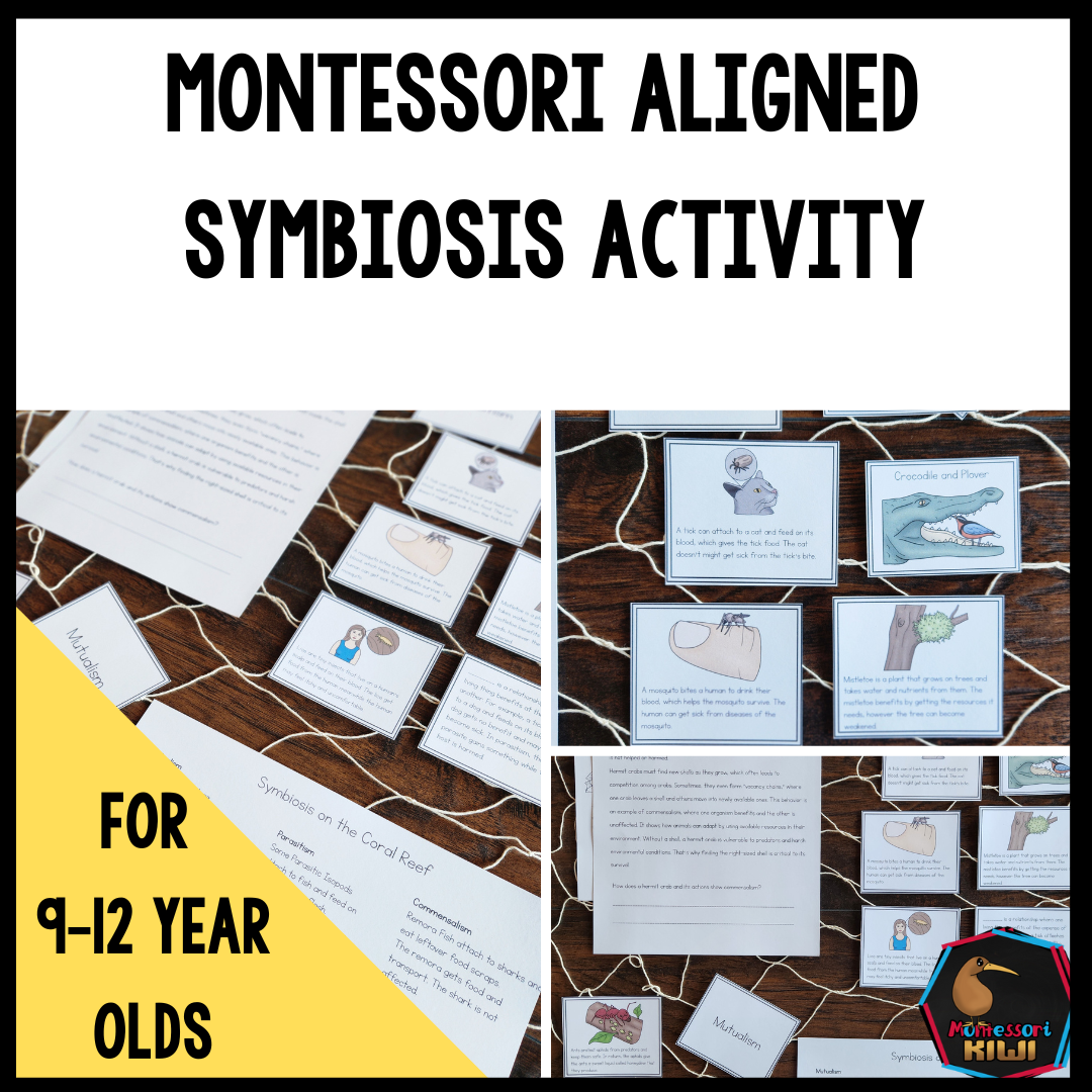 Montessori Aligned Symbiosis Activities